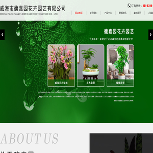 威海花卉,威海绿植